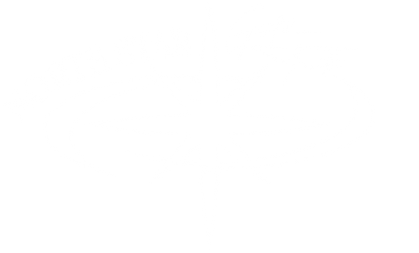 North Star Ambassador